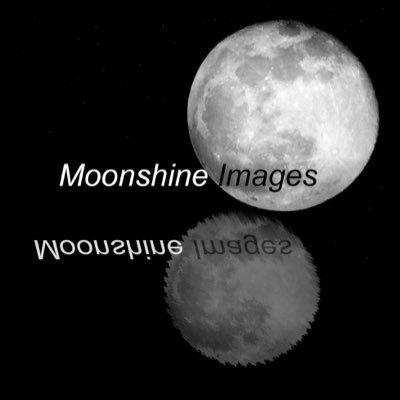 Profile Picture of Andy Reddy (@moonshineimages) on Twitter