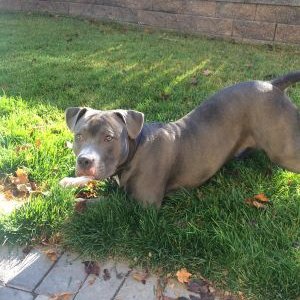 Daniel Comstock - Twitter Profile Picture of Daniel Comstock (@ardyexfor) on Twitter