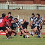 Profile Picture of Paul Grobler (@paul_grobler_) on Instagram