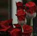 Profile Picture of Ayah Issa (@ayah.issa.35) on Facebook