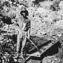 Profile Picture of Cole Davidson (@cole_the_miner) on Twitter