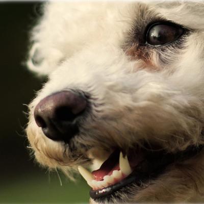 Profile Picture of Olivia Kocisek (@PESfotografie) on Twitter