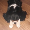 Profile Picture of user6309265811007 (@@richardandarchibald) on Tiktok
