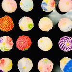 Profile Picture of おみど (@omido_shimanto) on Instagram