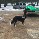 Profile Picture of Tristan Wesley Hicks (@tristheking) on Instagram