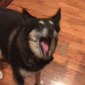 Profile Picture of Carter Cohrs (@cartercohrs2580) on Youtube