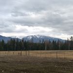 Profile Picture of Cody Force (@codyforce2018) on Instagram