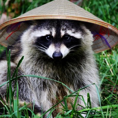 Profile Picture of Bradley Wayman (@chuckles_wayman) on Twitter