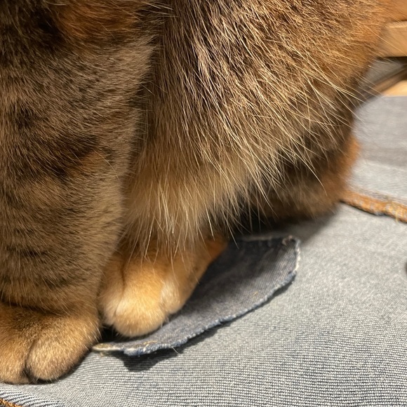 Profile Picture of Sean Nichol (@iseanichol) on Poshmark