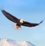 Profile Picture of Ricardo Chablé Candelero (@ricardo.chable.candelero.2025) on Facebook