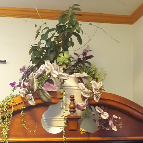 Profile Picture of Sara Wiberg (@sarawiberg) on Poshmark