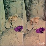 omar_capellan_beltran - Instagram Profile Picture of omar_capellan_beltran (@omar_capellan_beltran) on Instagram