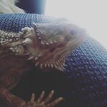 Profile Picture of Dexter kyle rex toledo (@dexterkylerex) on Instagram