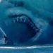 Profile Picture of jeff samthith (@suppers09870987) on Pinterest