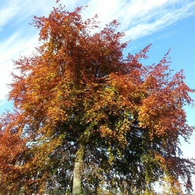 Profile Picture of Jon Cottrill (@JonBCottrill) on Twitter