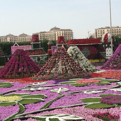 Profile Picture of Divya Pillai (@Divyapillai4) on Twitter