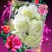 Profile Picture of Abeer Sharif (@abeer.sharif.37) on Facebook