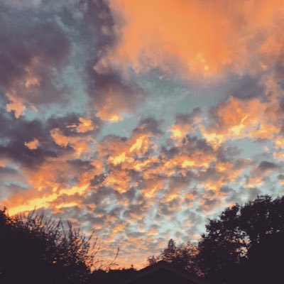 Profile Picture of Thomas Stauffer (@tomstauffer2) on Twitter