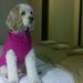 Profile Picture of Cheri Keller (@nanack29) on Pinterest