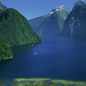 Profile Picture of Victor Vu (@victorvu9545) on Youtube