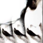 Profile Picture of Giorgia Buffardeci (@jooorj_a) on Instagram
