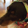 Profile Picture of Darryl Gary cowan (@couzner) on Tiktok