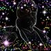 Profile Picture of Gary Seybert (@gary.seybert.5) on Facebook