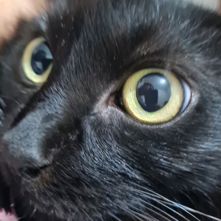 Profile Picture of Laire Johnson (@lairejohnson) on Tiktok