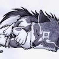 Profile Picture of Antonia Hansen (@antonia-hansen-7) on Quora