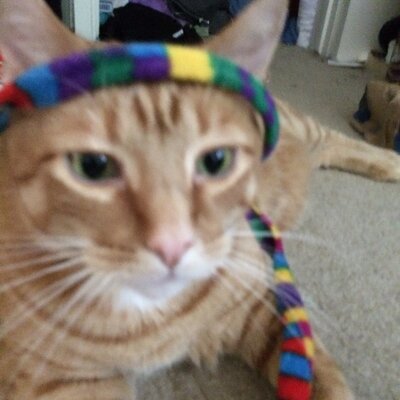 Profile Picture of Anasuya Devi (@DeviAnasuyadevi) on Twitter