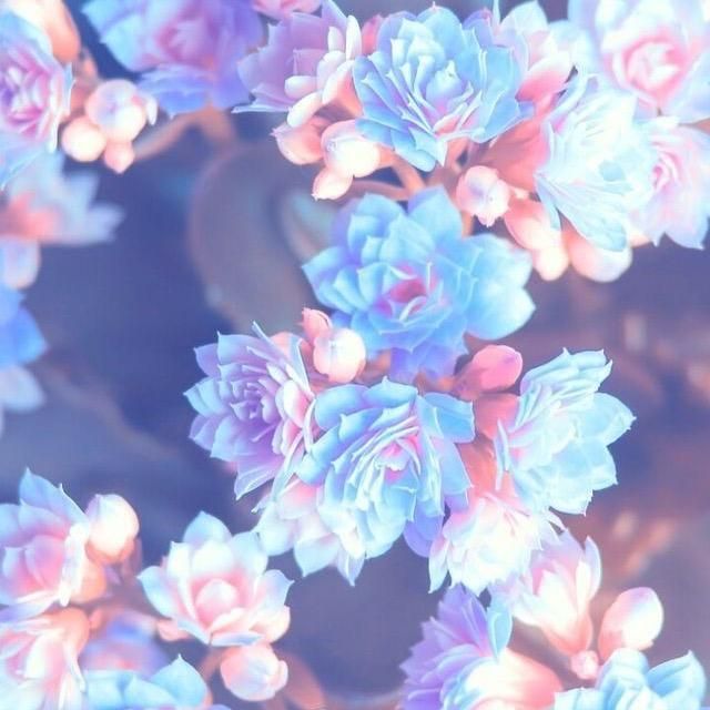 Profile Picture of ✨ Octavia ✨ (@octavia.glow) on Tiktok