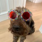 Profile Picture of Lucas Gilbert (@lucasgilbert_) on Instagram
