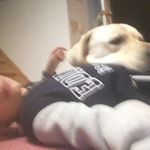 Profile Picture of Sean Fisher (@sean__fisher50) on Instagram