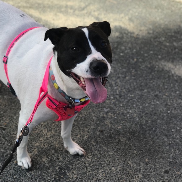 Profile Picture of Marisa Redden (@risred) on Poshmark