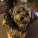 Profile Picture of Adam Siegel (@adam.siegel.7737) on Facebook