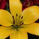 Profile Picture of John Wiley (@johnwiley5131) on Instagram