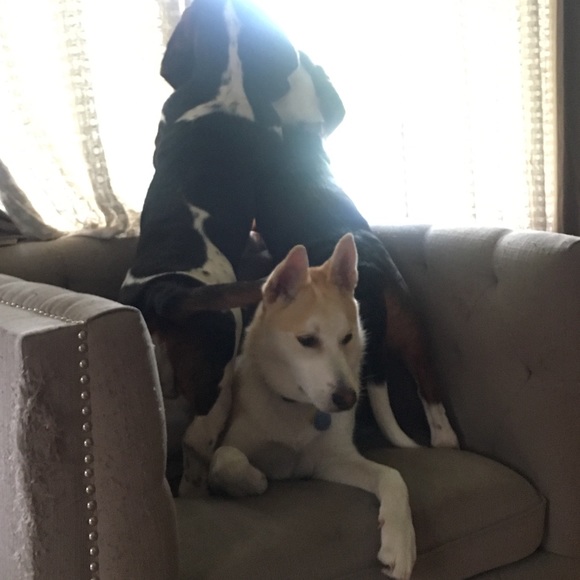 Profile Picture of M Parker (@enarsonist) on Poshmark