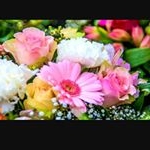 Profile Picture of Chanda Mehta (@chanda.mehta.9081) on Instagram