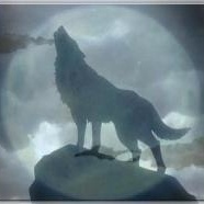 Profile Picture of Steven Friedrichsen (@steven_friedrichsen) on Myspace