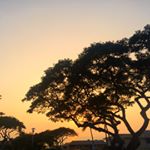 Profile Picture of Paul Quattrocchi (@pqmusic) on Instagram