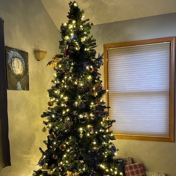 Tammy Seleski - Poshmark Profile Picture of Tammy Seleski (@tammyl232) on Poshmark