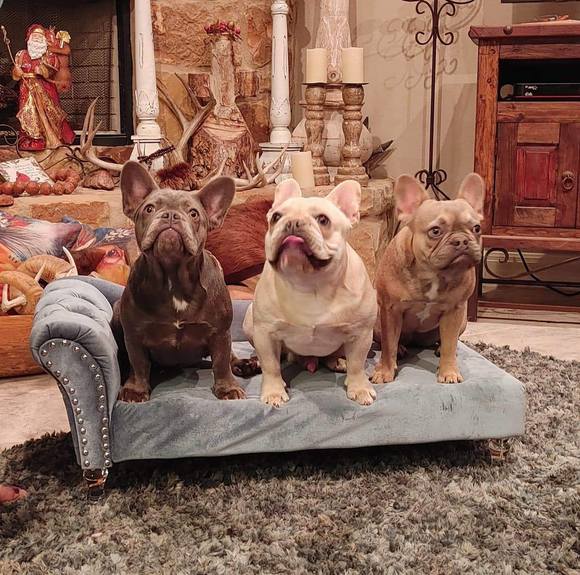 Profile Picture of Robin Parker (@robinparker56) on Poshmark