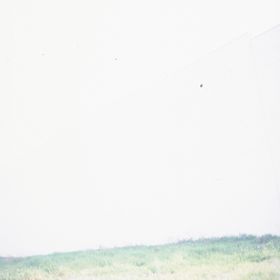 Profile Picture of Adam Forrester (@forrester_adam) on Pinterest
