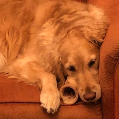 Profile Picture of Steve (@dunner888) on Twitter