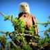 Profile Picture of Martin Adamczak (@martin.adamczak.3) on Facebook