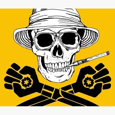 Profile Picture of 🏴‍☠️Resister🌊Writer✏️AI🧠Consultant📊ML🤔 (@BobRutherford17) on Twitter