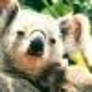 Profile Picture of Wallace Tan (@284935058) on Myspace