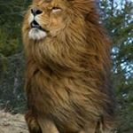 Profile Picture of Mark Ickes (@ickesmark) on Instagram