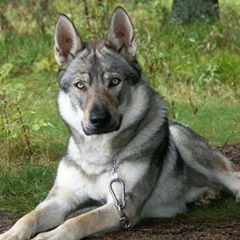 Profile Picture of Henry Dow (@@just_need_to_smile) on Tiktok