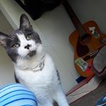 Profile Picture of Olivia Casey Jane Mailahn (@oli12oli) on Instagram